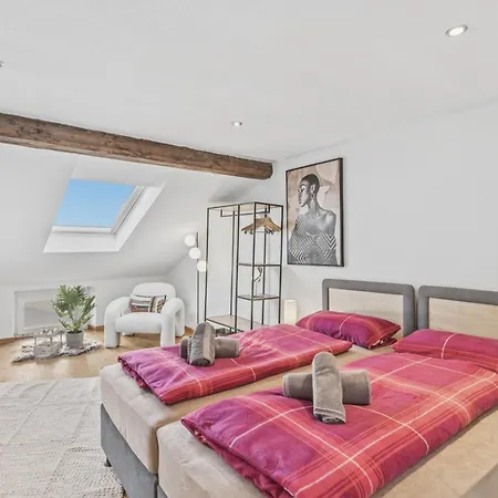 Bat Solutions Altstadt - Alles Was Ein Nicht Bietet - Direkt Am Beruehmten Wasserfall - 151 Qm Stadthaus Von 1732 Fuer 12 Personen - Dachterrasse Mit Grill & Weinbergblick - Garage & Weinkeller