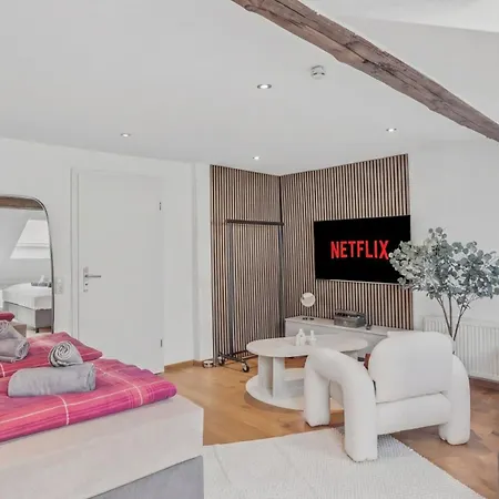 Bat Solutions Altstadt - Alles Was Ein Nicht Bietet - Direkt Am Beruehmten Wasserfall - 151 Qm Stadthaus Von 1732 Fuer 12 Personen - Dachterrasse Mit Grill & Weinbergblick - Garage & Weinkeller *