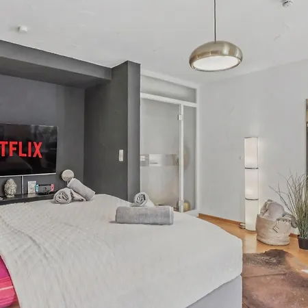 Bat Solutions Altstadt - Alles Was Ein Nicht Bietet - Direkt Am Beruehmten Wasserfall - 151 Qm Stadthaus Von 1732 Fuer 12 Personen - Dachterrasse Mit Grill & Weinbergblick - Garage & Weinkeller
