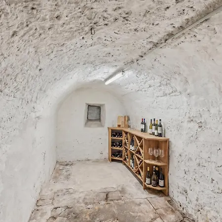 Bat Solutions Altstadt - Alles Was Ein Nicht Bietet - Direkt Am Beruehmten Wasserfall - 151 Qm Stadthaus Von 1732 Fuer 12 Personen - Dachterrasse Mit Grill & Weinbergblick - Garage & Weinkeller Σπίτι διακοπών Saarburg