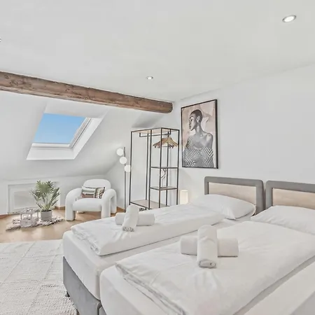 Bat Solutions Altstadt - Alles Was Ein Nicht Bietet - Direkt Am Beruehmten Wasserfall - 151 Qm Stadthaus Von 1732 Fuer 12 Personen - Dachterrasse Mit Grill & Weinbergblick - Garage & Weinkeller Σπίτι διακοπών