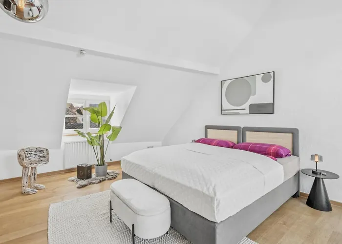 Bat Solutions Altstadt - Alles Was Ein Nicht Bietet - Direkt Am Beruehmten Wasserfall - 151 Qm Stadthaus Von 1732 Fuer 12 Personen - Dachterrasse Mit Grill & Weinbergblick - Garage & Weinkeller Holiday home *