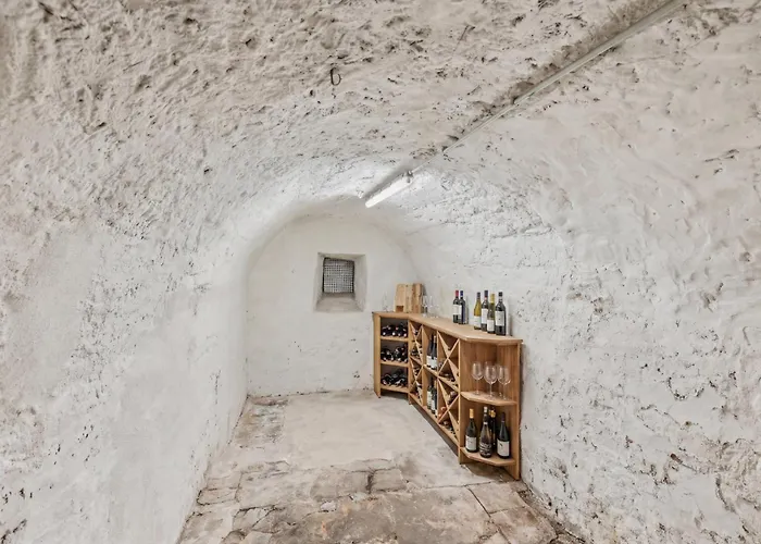 Bat Solutions Altstadt - Alles Was Ein Nicht Bietet - Direkt Am Beruehmten Wasserfall - 151 Qm Stadthaus Von 1732 Fuer 12 Personen - Dachterrasse Mit Grill & Weinbergblick - Garage & Weinkeller Holiday home Saarburg